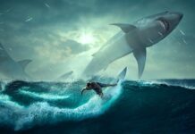 Jak szybko umyć samochód?