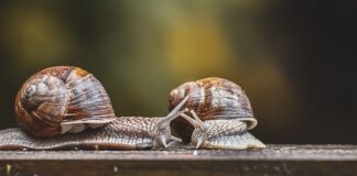 Za co odpowiada czujnik ciśnienia klimatyzacji?