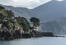 Ile kosztuje Dodge Challenger ze Stanów?