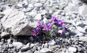 Co wlać do rur żeby nie śmierdziało?