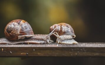 Gdzie znajduje się czujnik klimatyzacji?