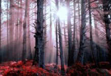 Czy można jeździć na jednej spalona świeca żarowa?