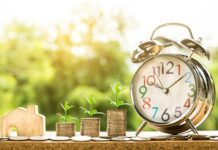 Kiedy wymieniać wodę w oczku wodnym?