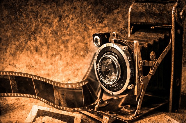 Jak zrobić kino w ogrodzie? Jak zrobić kino w ogrodzie?