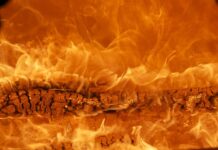 Jaka jest najpopularniejsza marka butów?