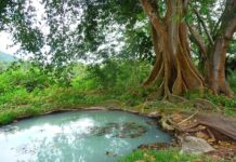 Jak skutecznie oczyścić szambo?